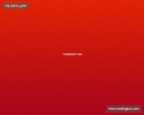 16届男篮世锦赛赛事、16年男篮